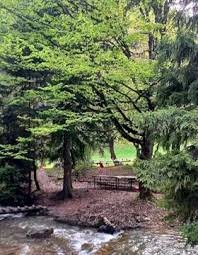 حديقة خاراجالي برجومي الوطنيه — صورة 3