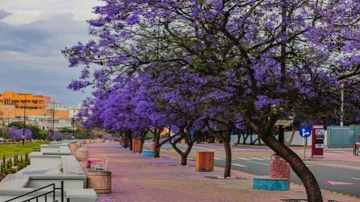 معالم أبها — صورة 8