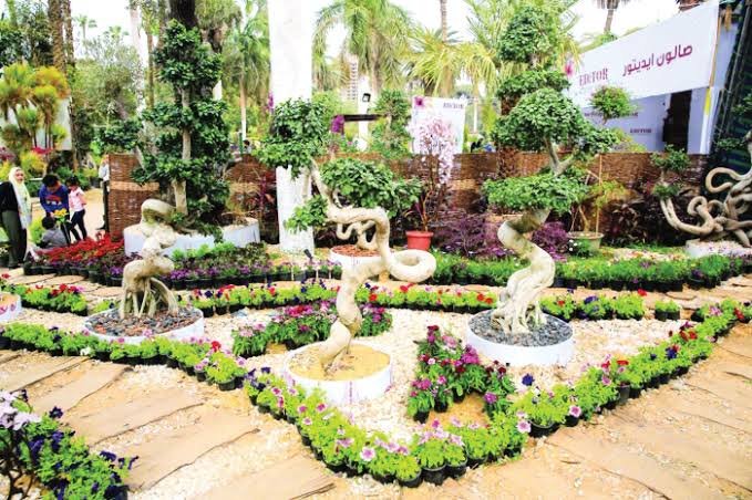 حديقة الاورمان
