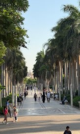 حديقة الازهر — صورة 8