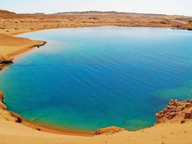 محمية رأس محمد — صورة 14