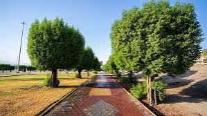 حديقة اراك — صورة 2