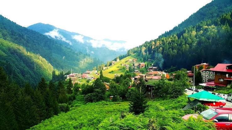 التنزه بين الغابات — صورة 9