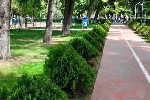 حديقه كيكفيدزي