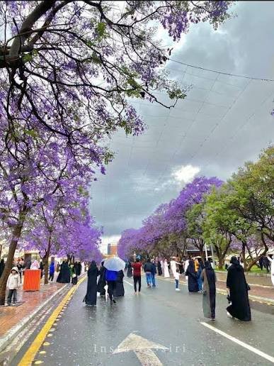 معالم أبها — صورة 12