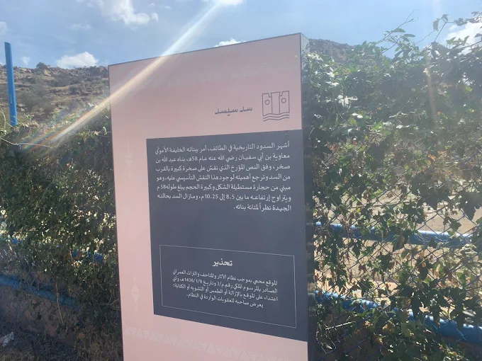 سد سيسد/ سد معاويه — صورة 2