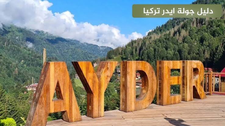 التنزه بين الغابات — صورة 10