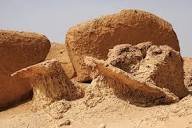 محمعة الاشجار المتحجره — صورة 3