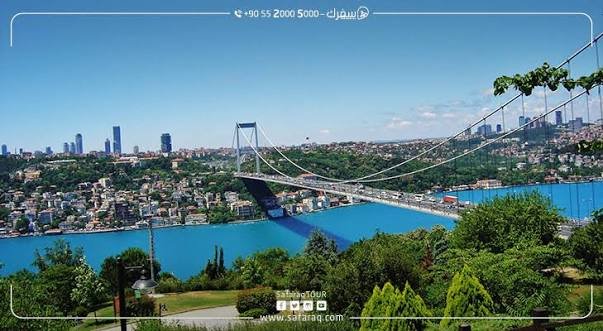 تل العرائس — صورة 4