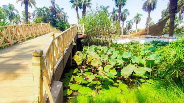 حديقة الاورمان — صورة 3