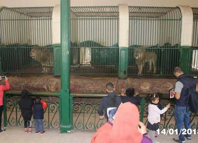 حديقة الحيوان — صورة 4