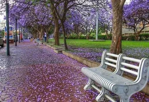معالم أبها — صورة 9