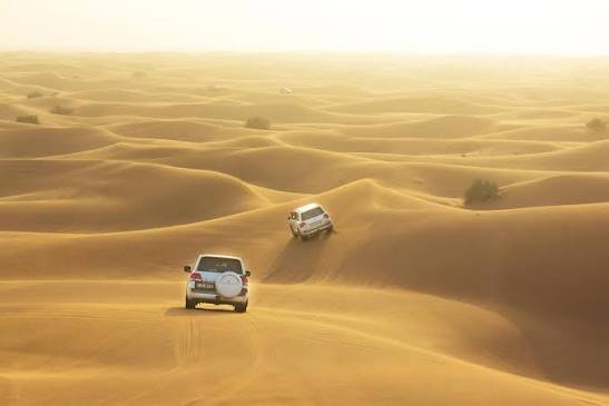 جولات سفاري في الصحراء الشرقيه — صورة 3