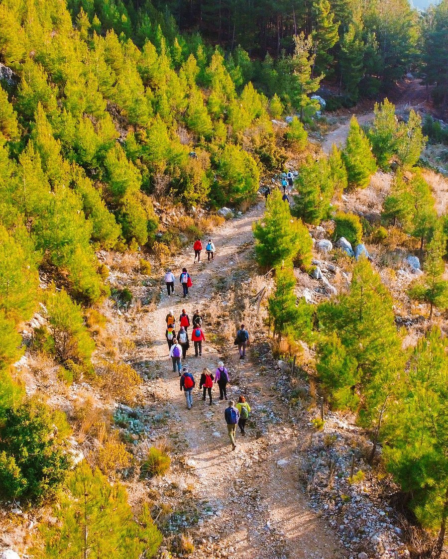تجربة الحياه البريه — صورة 15