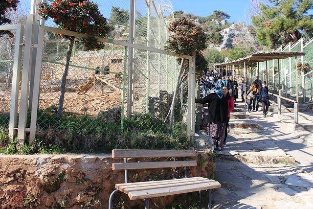 حديقة حيوان انطاليا — صورة 4