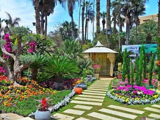 حديقة الاورمان — صورة 6