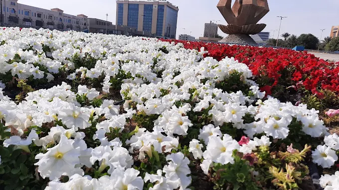 حديقة الأمير سعود بن جلوي – الخبر — صورة 4