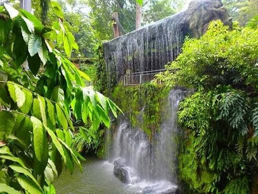 حديقه الطيور — صورة 4