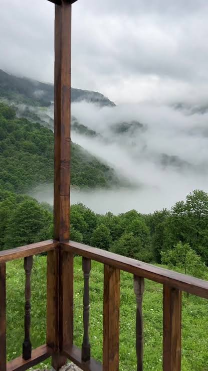 حديقة شاي بوزتبه — صورة 8