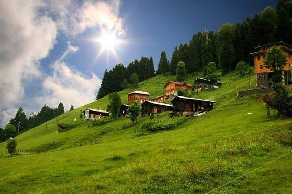 التنزه بين الغابات — صورة 14