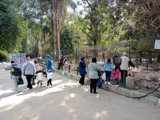 حديقة حيوان انطاليا — صورة 5