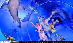 الاكواريوم — صورة 2