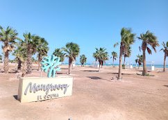 ZOUNi Beach - Mangroovy — صورة 17