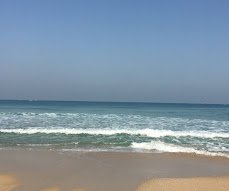 شاطئ ميامي — صورة 2