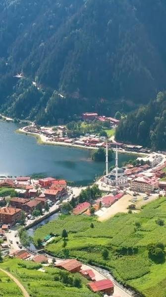 حديقة شاي بوزتبه — صورة 1