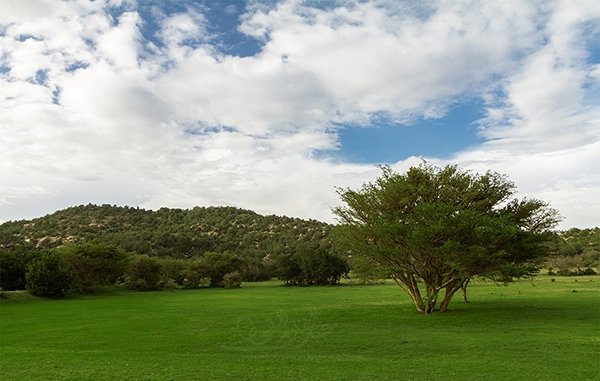 حديقة الأمير سلطان — صورة 2