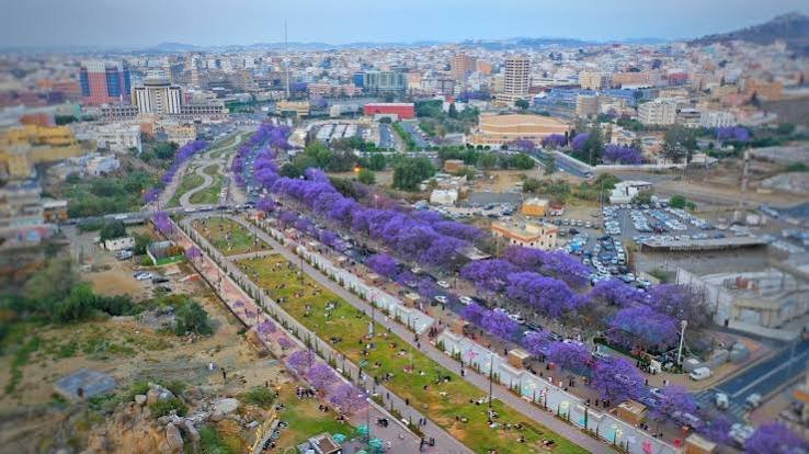 معالم أبها — صورة 2