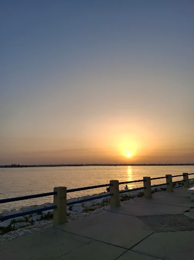 جزيرة المرجان — صورة 4