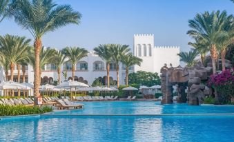 فندق بوتيك ستايل بارون بالمز — صورة 5