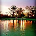 حديقه الملك عبدالله