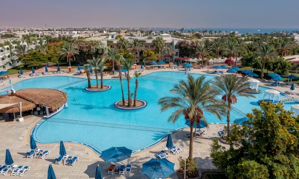 ديزرت روز — صورة 8