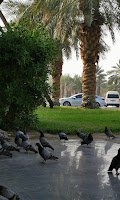 حديقة اراك — صورة 10