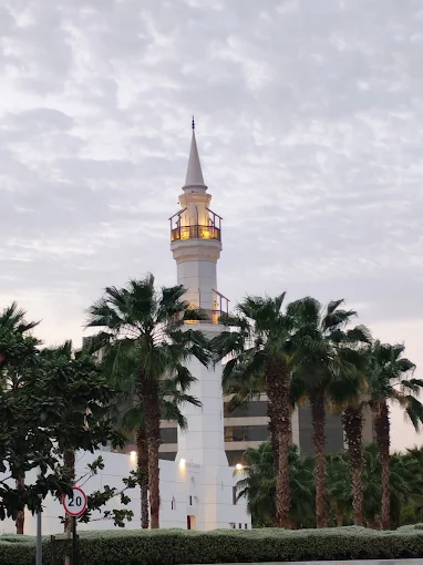 مسجد ابراهيم بن عبدالله الجالفي — صورة 1