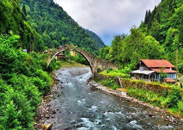 التنزه بين الغابات — صورة 6