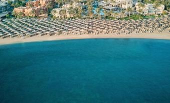 إيبروتيل مكادي بيتش من جاز — صورة 3
