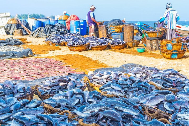 زيارة سوق السمك — صورة 3