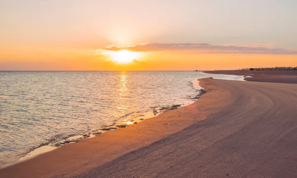 جاز إليت أستيريا — صورة 7