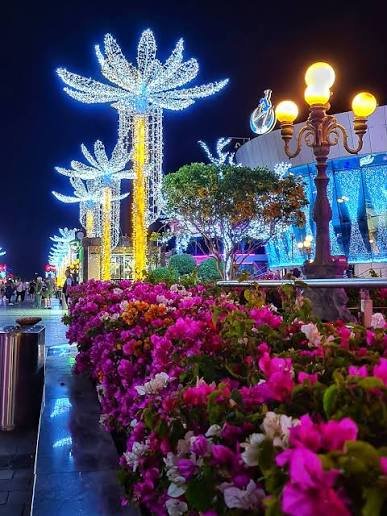 Peace Square — صورة 18
