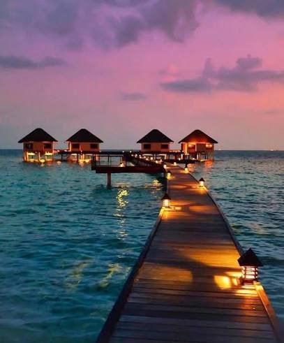 رحلة بحرية لمشاهدة الغروب والدلافين — صورة 10