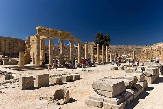 اكرويوليس لينوس — صورة 7