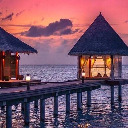 رحلة بحرية لمشاهدة الغروب والدلافين — صورة 7