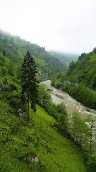 التنزه بين الغابات — صورة 4