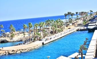 منتجع سيتادل بيك الباتروس - سهل حشيش — صورة 4