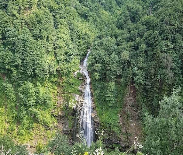 التنزه بين الغابات — صورة 8