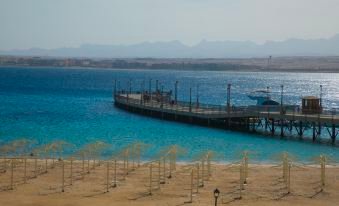 سيرنيتى سهل حشيش — صورة 5