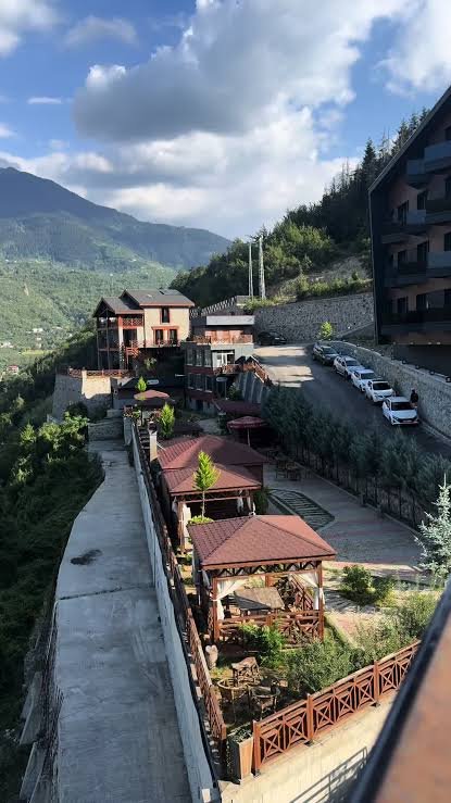 حديقة شاي بوزتبه — صورة 3
